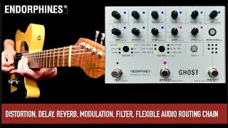 Video thumbnail for Endorphines + Andrew Huang Ghost Pedal by Mike Hermans