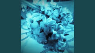 the flower girl (the end of the world Version)