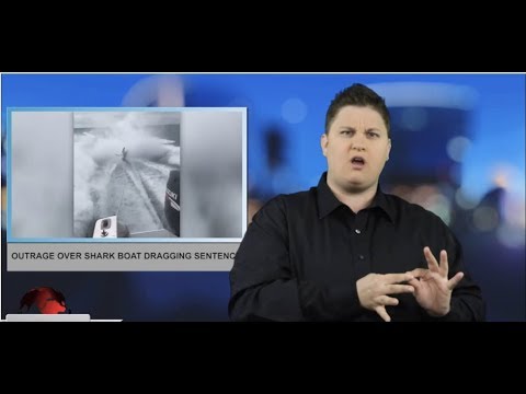 Sign1News 3.1.19 - News for the Deaf community powered by CNN in American Sign Language (ASL)