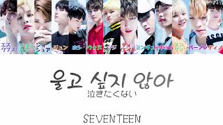 Download lagu 울고 싶지 않아(泣きたくない)-SEVENTEEN(セブンティーン/セブチ)【日本語/かなるび/歌詞】 mp3