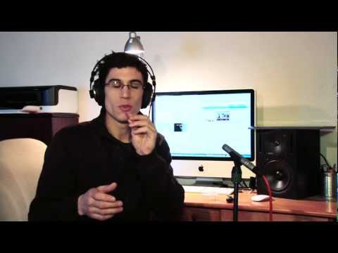 Libertivi.com - le Labo du Bruiteur - N°13 : Insecte en vol