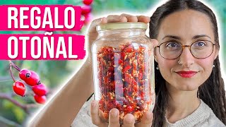 Beneficios del ESCARAMUJO 🌹 ¡¡Bomba de VITAMINAS!!