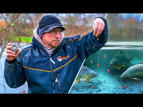 Underwater Truth: How Fast Do Fishing Baits Really Sink?