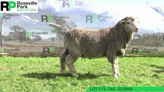 Download lagu Lot 113 mp3