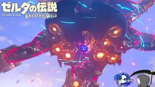 【かなまふ】ゼルダミリしらとキザなアイツとで挑む神獣ヴァ・メドー【ゼルダの伝説　ブレスオブザワイルド】Part19