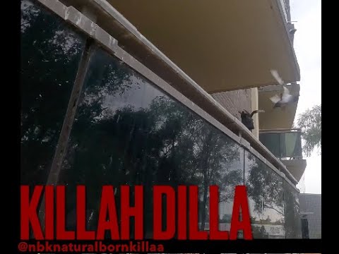 Killah Dilla - High Horse (Official Video)