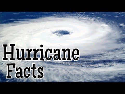 Hurricane facts for kids