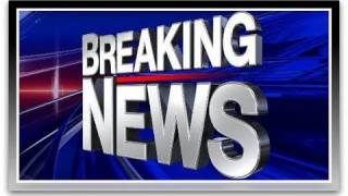 Rick Springfield Arrested For DUI