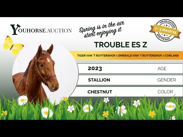 Trouble Z