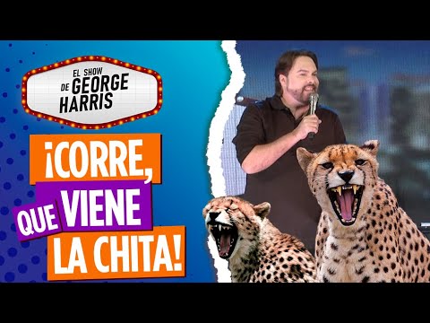 El Show de George Harris 19/01/23 ➡️ [Parte 4] ¿Cómo son las MADRES LATINAS?👩‍👧‍👦