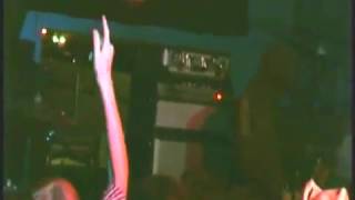 The Locust-Solar Panel Asses