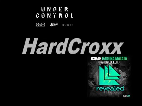 R3hab - Hakuna Matata  vs.  Calvin Harris & Alesso - Under Control (Lewis Fanoz Mashup)