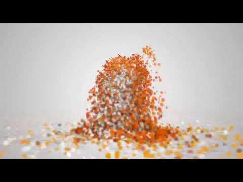 Famiglia Palestra TV (04/02/2020)