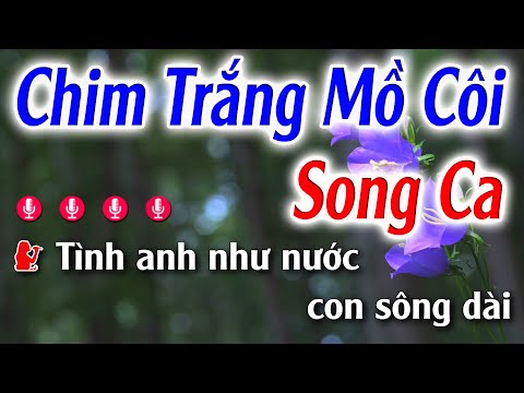 Chim Trắng Mồ Côi Karaoke Song Ca ( Gm ) Đăng Khôi Karaoke - Beat Phối Mới