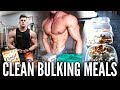 FOOD for Building LEAN MUSCLE | My Staple Meals for CLEAN BULKING | My First Apartment Viewings…