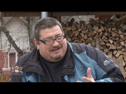 Big Boletus partea 1 (3 decembrie 2013)