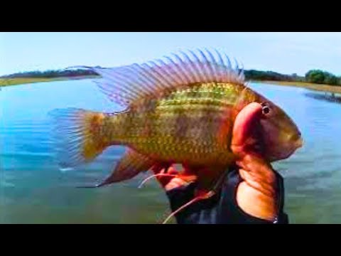 PESCARIA EM MIRA ESTRELA SP