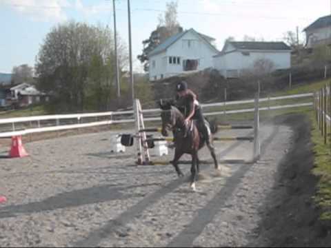 26.04.11 x Lene & Fernando [ Jumptraining ] 1.10cm x