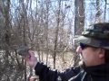 Eastern Cottonwood Tree Identification