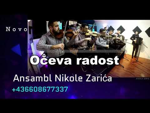 Dzingl - Nikola Zaric