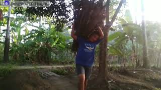 Download lagu Story wa pesawat tempur mp3