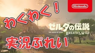 【ゲーム実況】Nintendo Switch 「ゼルダの伝説ブレスオブザワイルド」