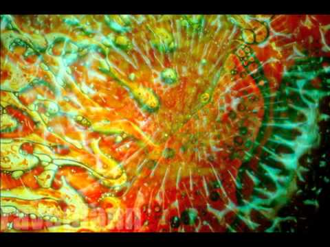 DaPEACE   Tribute to BGF & 10 Years of Suntrip Records