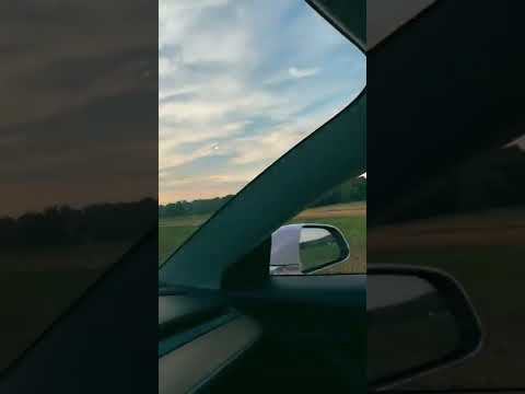 Seems Legit- Ben Arrow