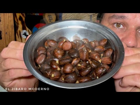 PANA DE PEPITAS UNA TRADICION CASI MUERTA DE PUERTO RICO YA CASI NADIE LO HACE MANJAR DE POBRES