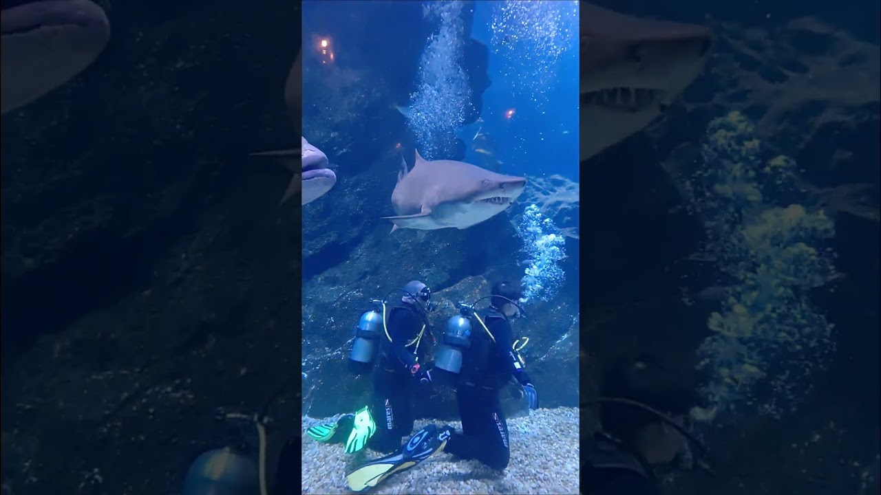 YouTube Short thumbnail