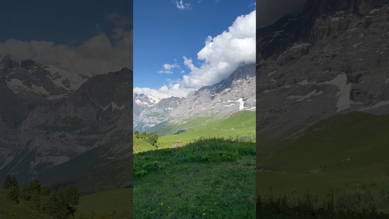 YouTube Short thumbnail