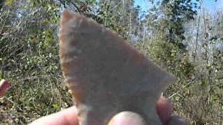 Finally broke my dry spell with a SWEET Pickwick!