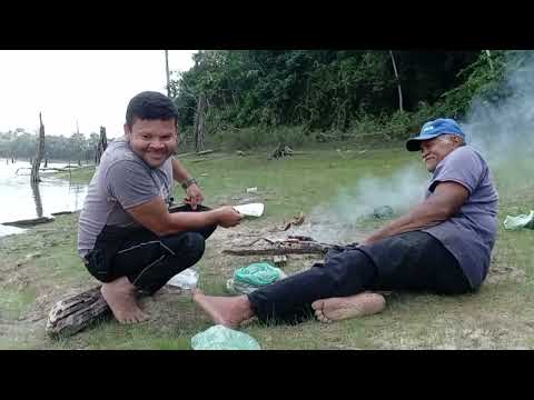 pescaria de tarrafa no lago de tucurui para