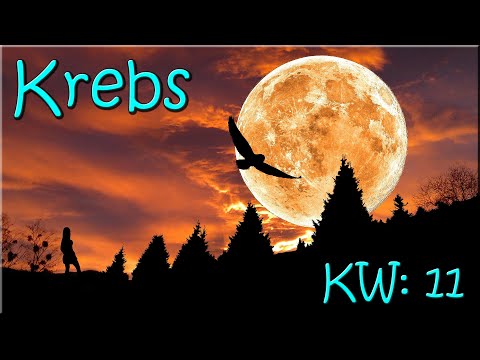 ♋ Krebs KW 11 ♋  -  Tarot Wochenausblick  -