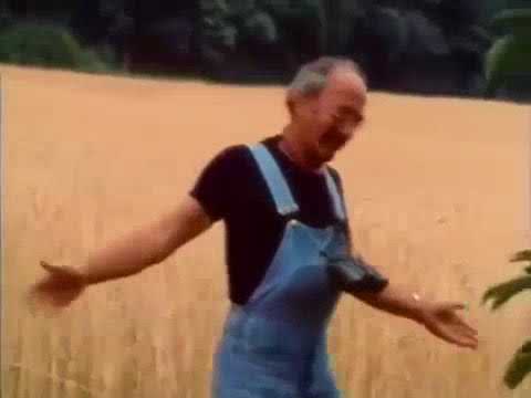 YouTube Kacke [YTK]: Peters Insel im Pinsel