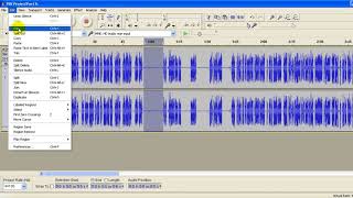Audacity Tutorial - Spend time removing the hollow echoey sounds