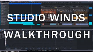 Video thumbnail for 8Dio Intimate Studio Woodwinds Walkthrough by 8Dio