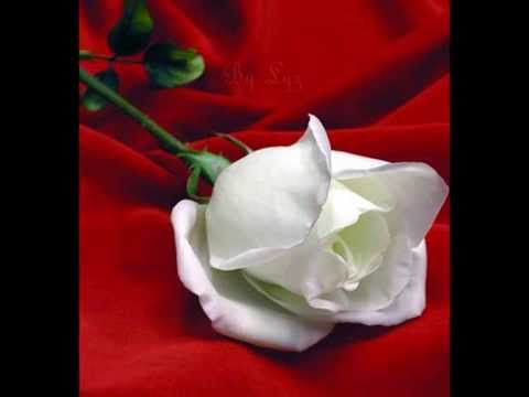 download lagu mp3 mp4 Sacrificio De Elton John En Espaol, download lagu Sacrificio De Elton John En Espaol gratis, unduh video klip Sacrificio De Elton John En Espaol