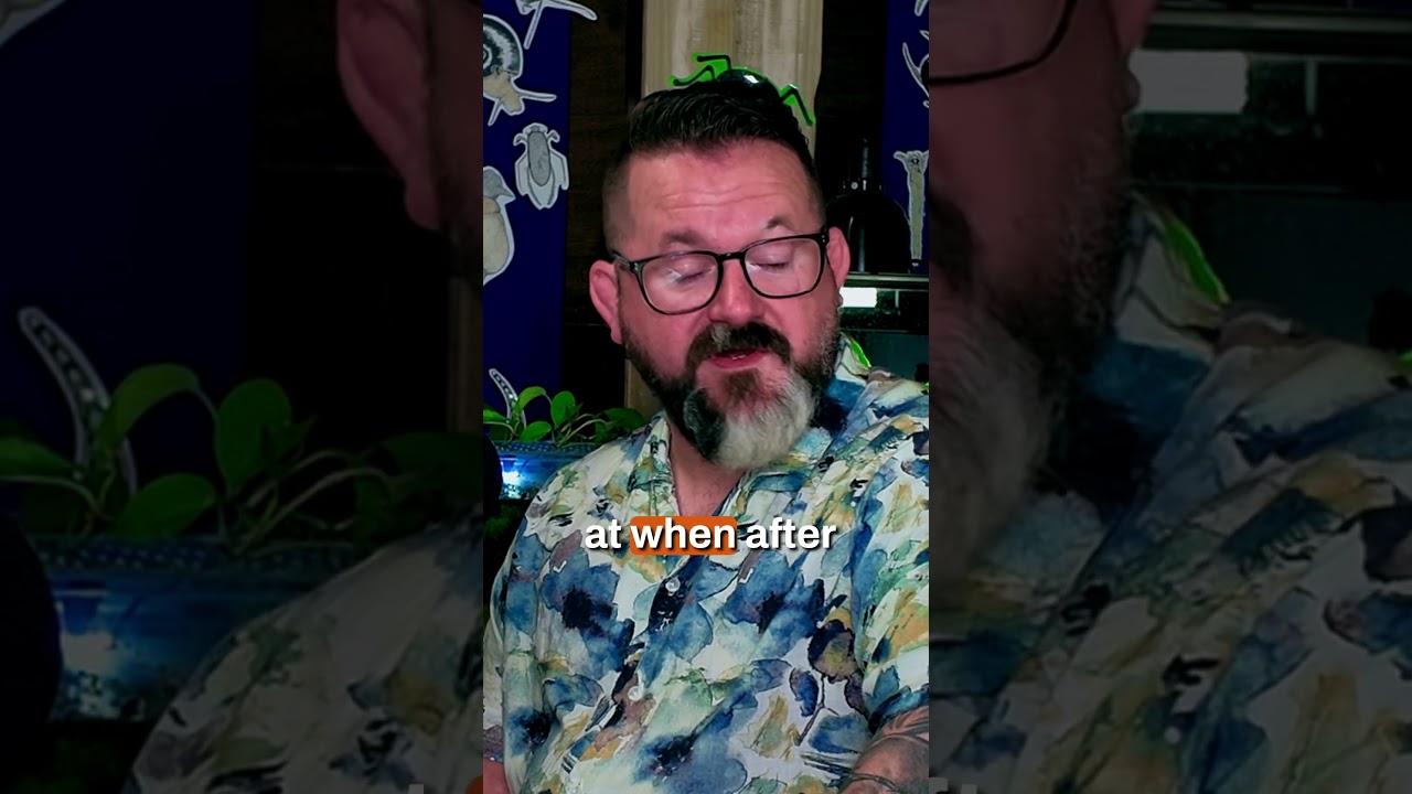 Which reptile morphs are bad for welfare?