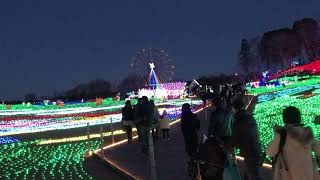 東京ドイツ村イルミネーション