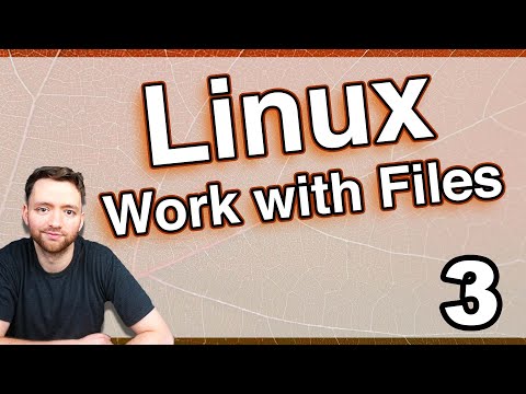 Working with Files in Linux Basics in Ubuntu
