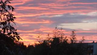 Bolesław Zarębski hipnoza z Danutą 7