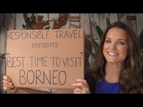 Best Time to Visit Borneo