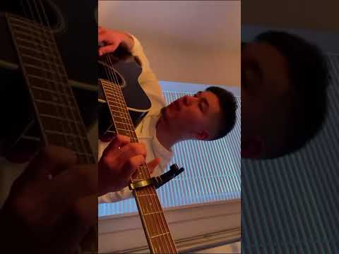 Ersaripput Renè Brandt