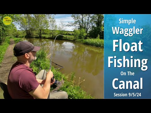 Simple Canal Float Fishing - Mixed Bag On The Wag & Surprise "Driveby" - CSCC Ep9 - 9/5/24 (Vid 494)