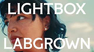 Lightbox Jewelry Lab-grown diamonds by Lightbox