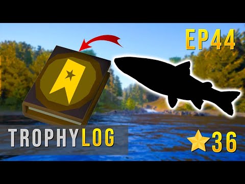 Russian Fishing 4 TROPHY LOG EP 44 - One of THE BEST Money Making spots #rf4 #russianfishing4
