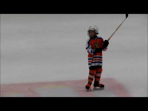 Dva góly Dáriuse Krejčího proti Motoru (Motor ČB - HC Lvi 2009) 2019