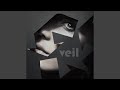 Veil (Radio Edit)