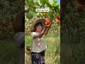 Eating China S Weirdest Fruit